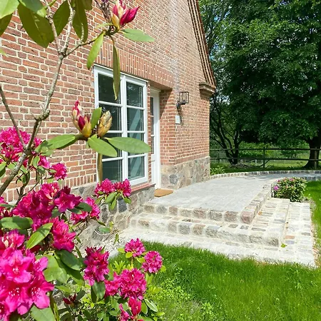 Holiday home Artist's House In Aukrug Nature Park